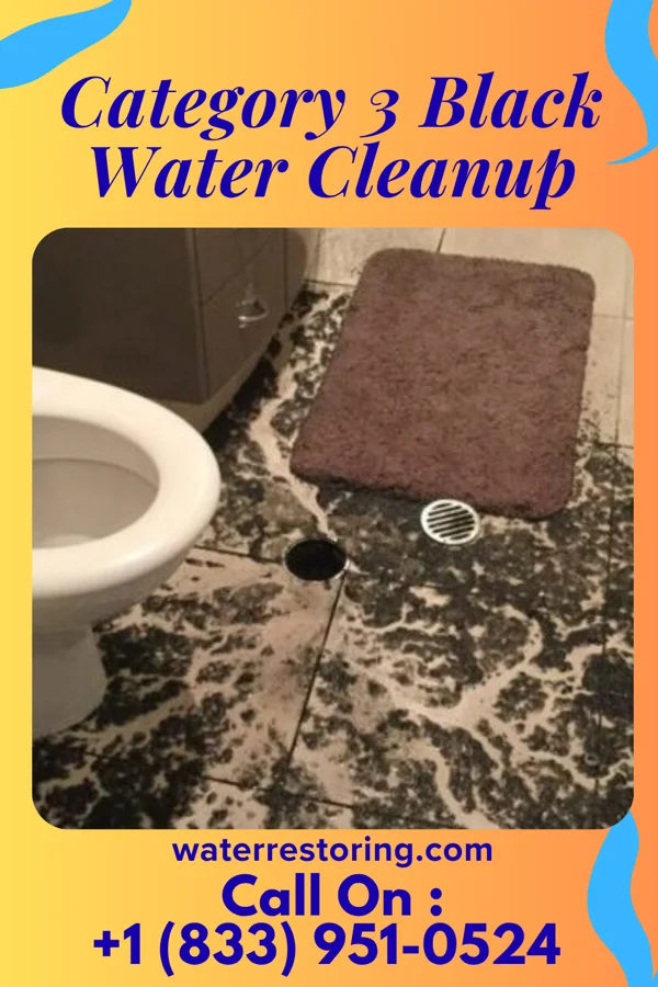 Category 3 Black Water Cleanup in Port Barrington, IL