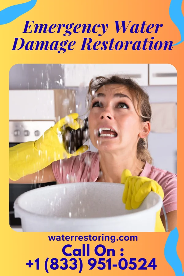 Emergency Water Damage Restoration in Port Barrington, IL