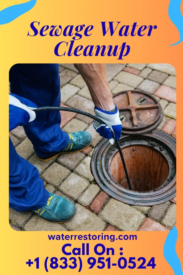 Sewage Water Cleanup in Port Barrington, IL
